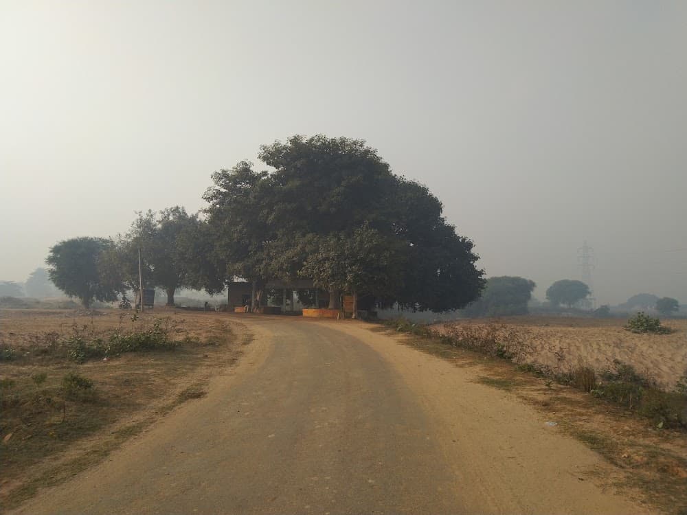 📷 Pankaj Kumar