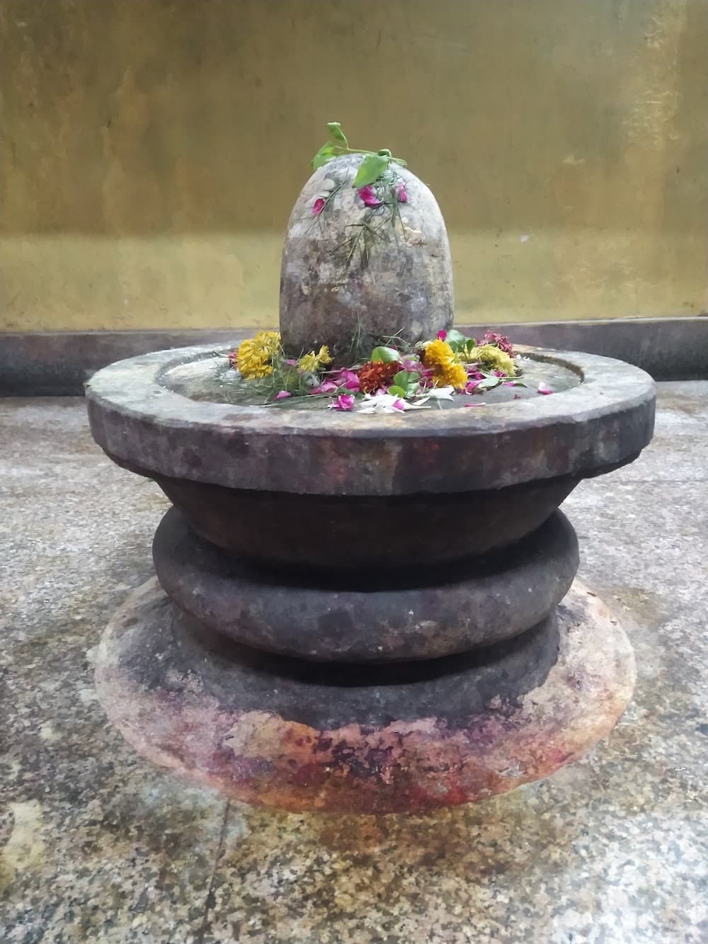 📷 Gaynarjan ज्ञानार्जन
