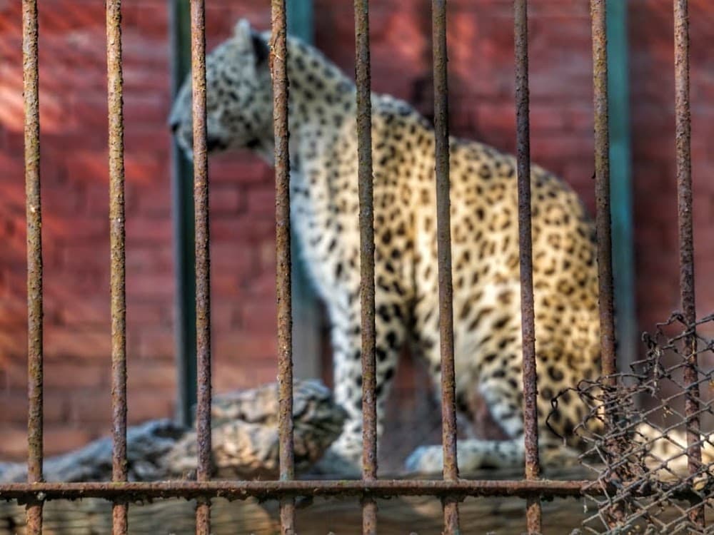 📷 sidheswar dash