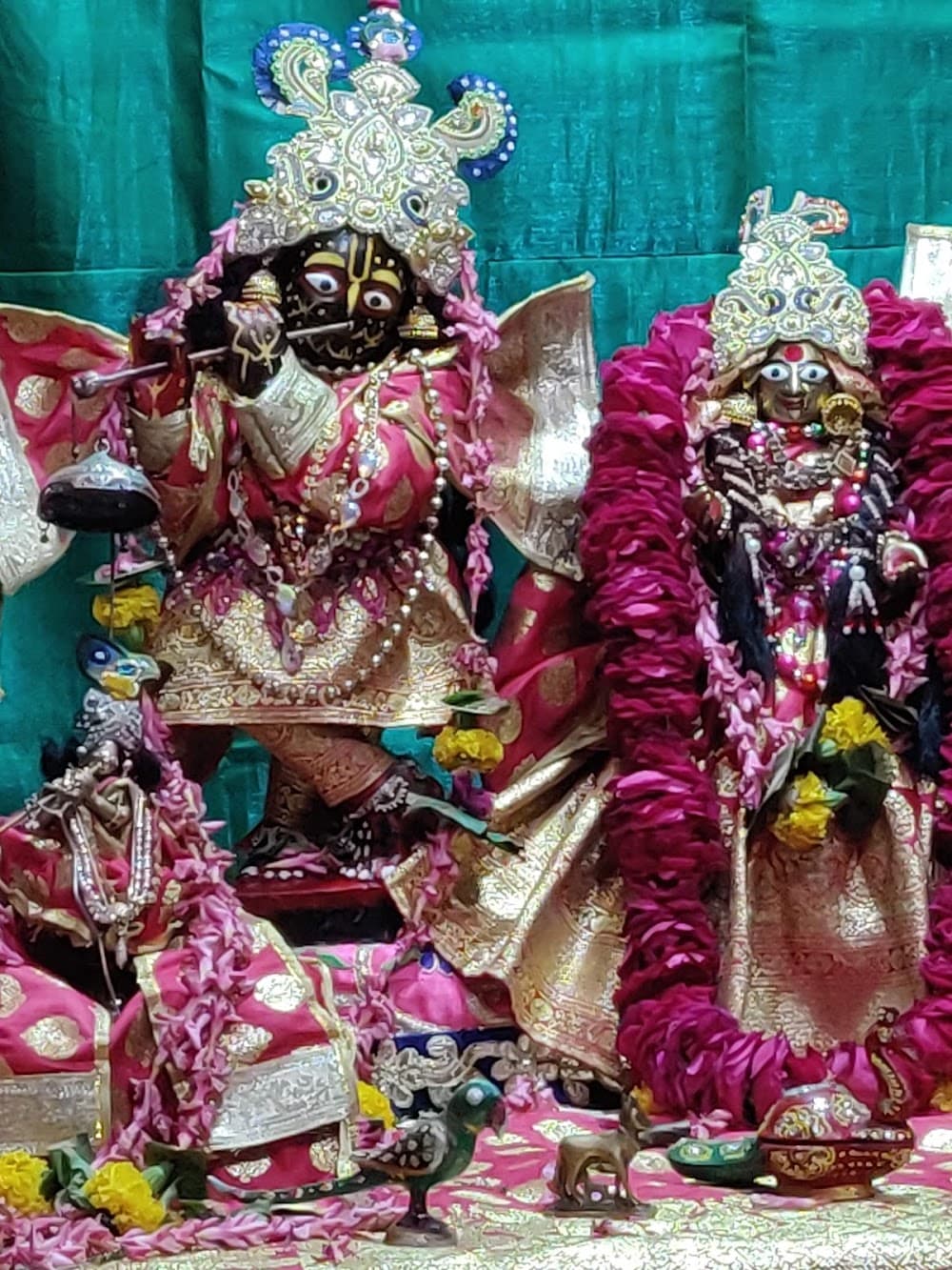 📷 Gauranga Kripa