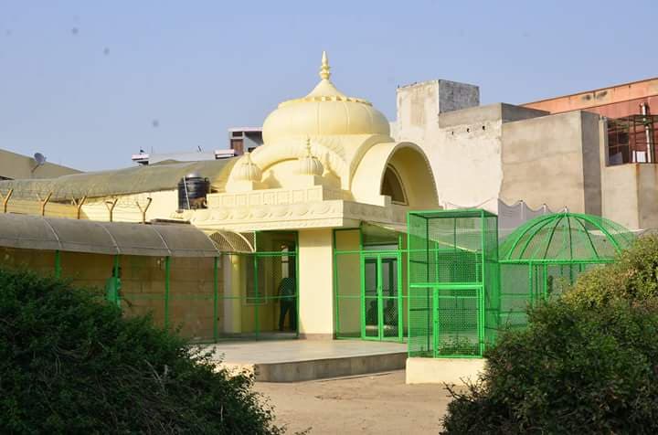 📷 Seva Kunj, Vrindavan