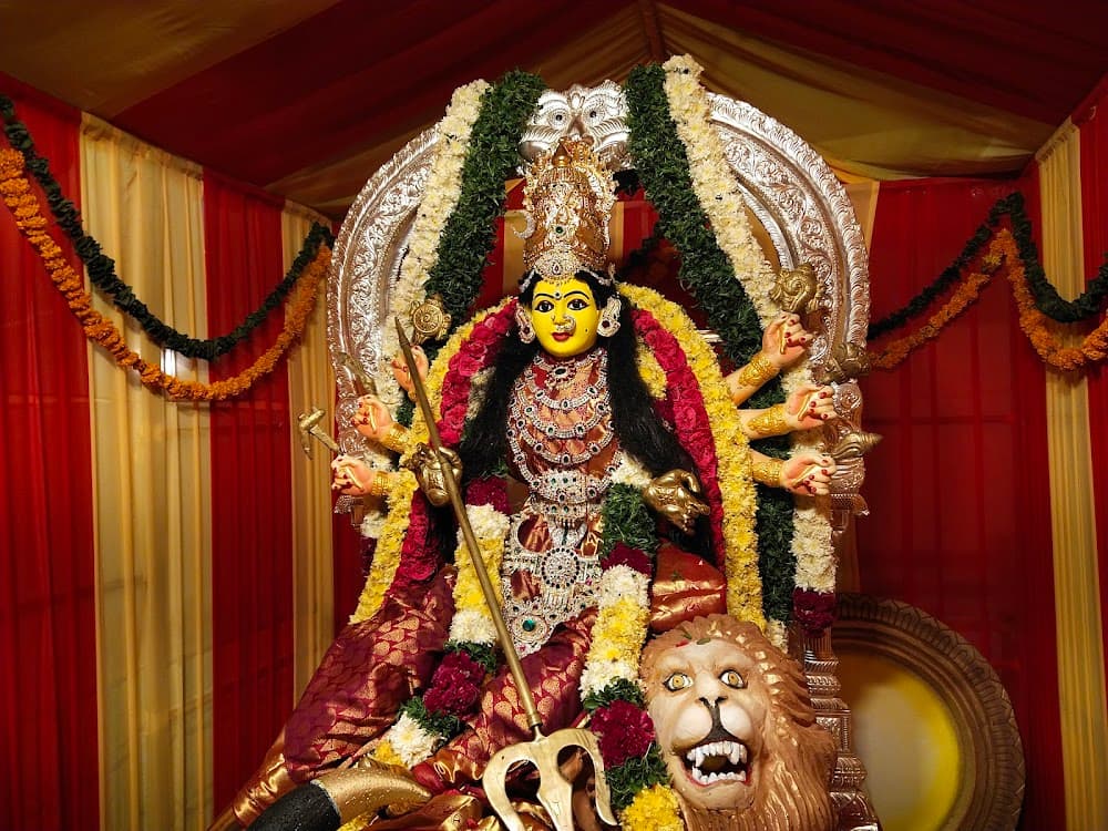 📷 RADHAKRISHNA REDDY