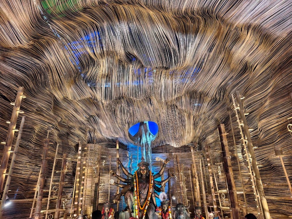 📷 Mayukh Chakrabarty