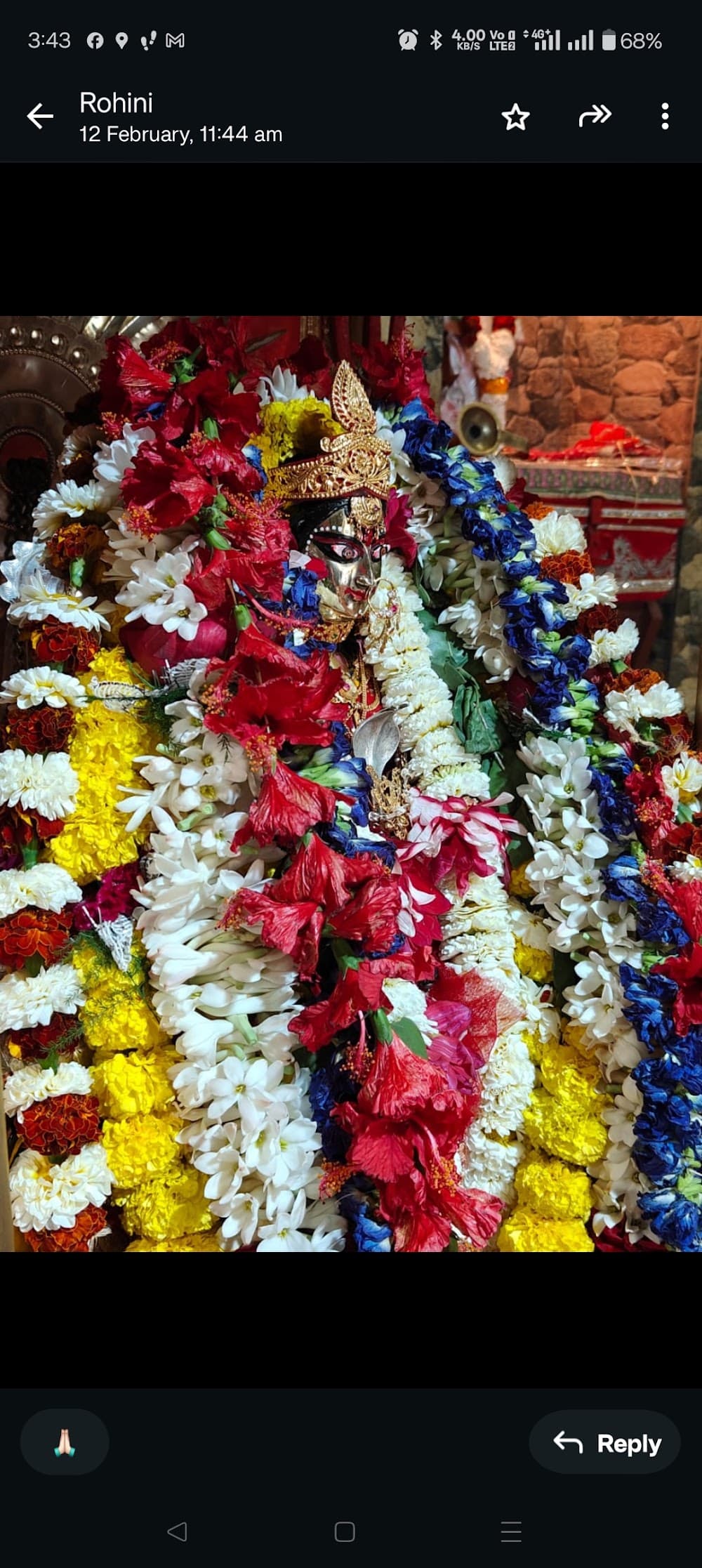 📷 Jagadhatri Temple (Thakurbari)