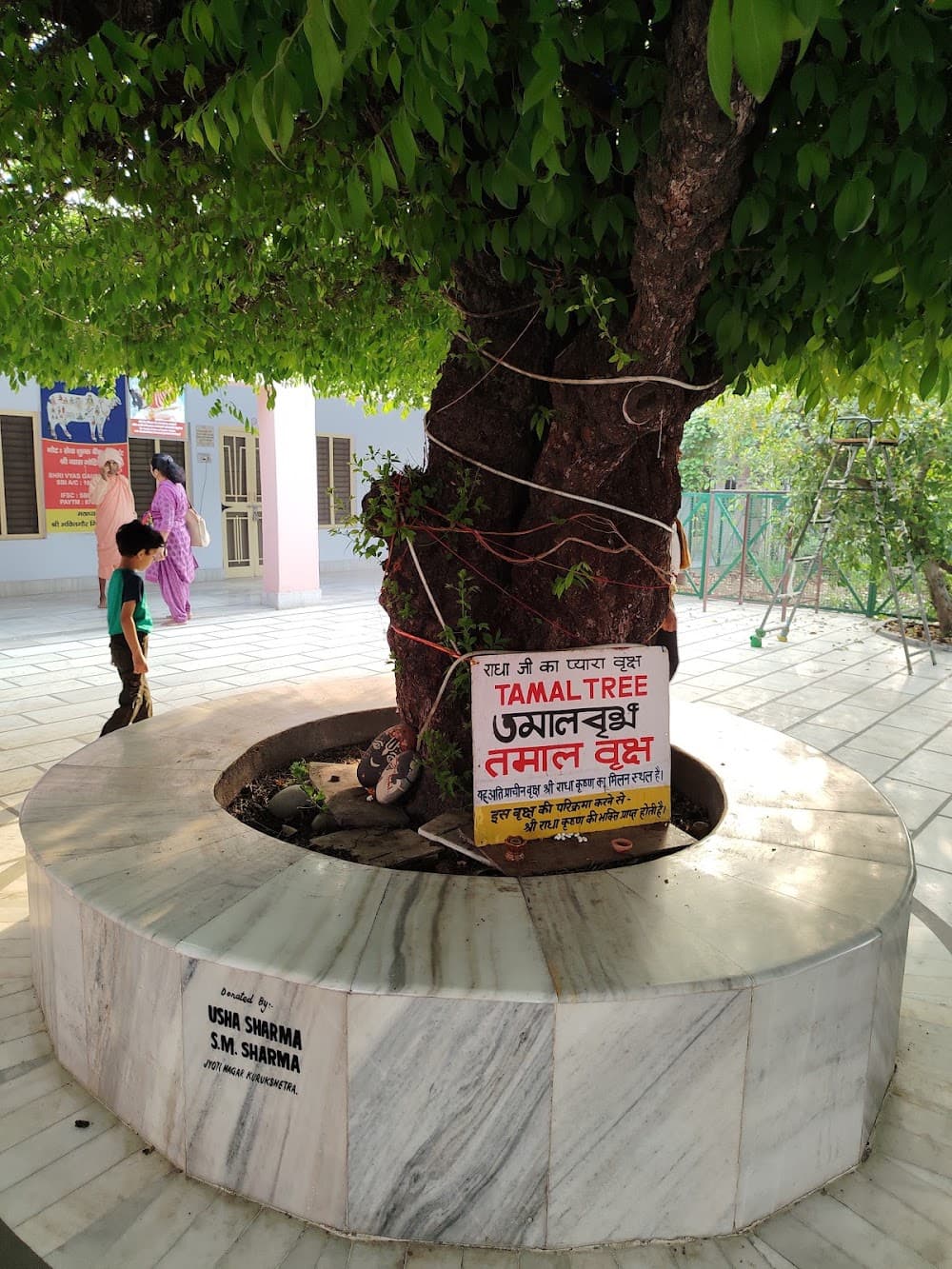 📷 NILADRI BIHARI NAYAK