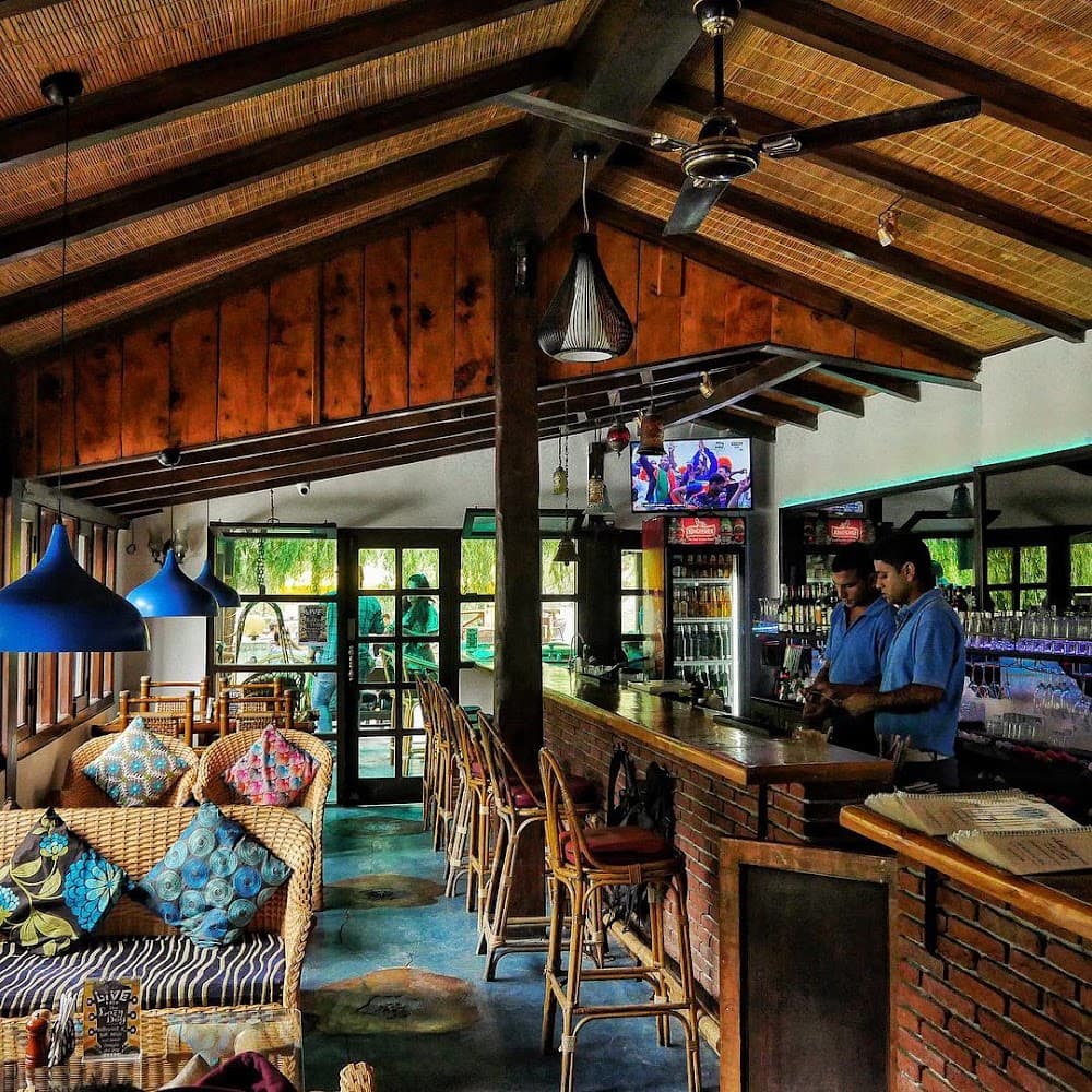 📷 𝗧𝗵𝗲 𝗟𝗮𝘇𝘆 𝗗𝗼𝗴 Lounge