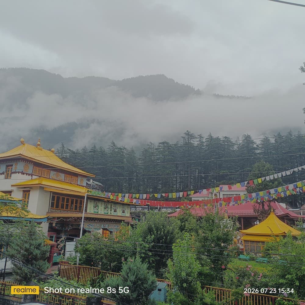 📷 Nomadic Den Manali