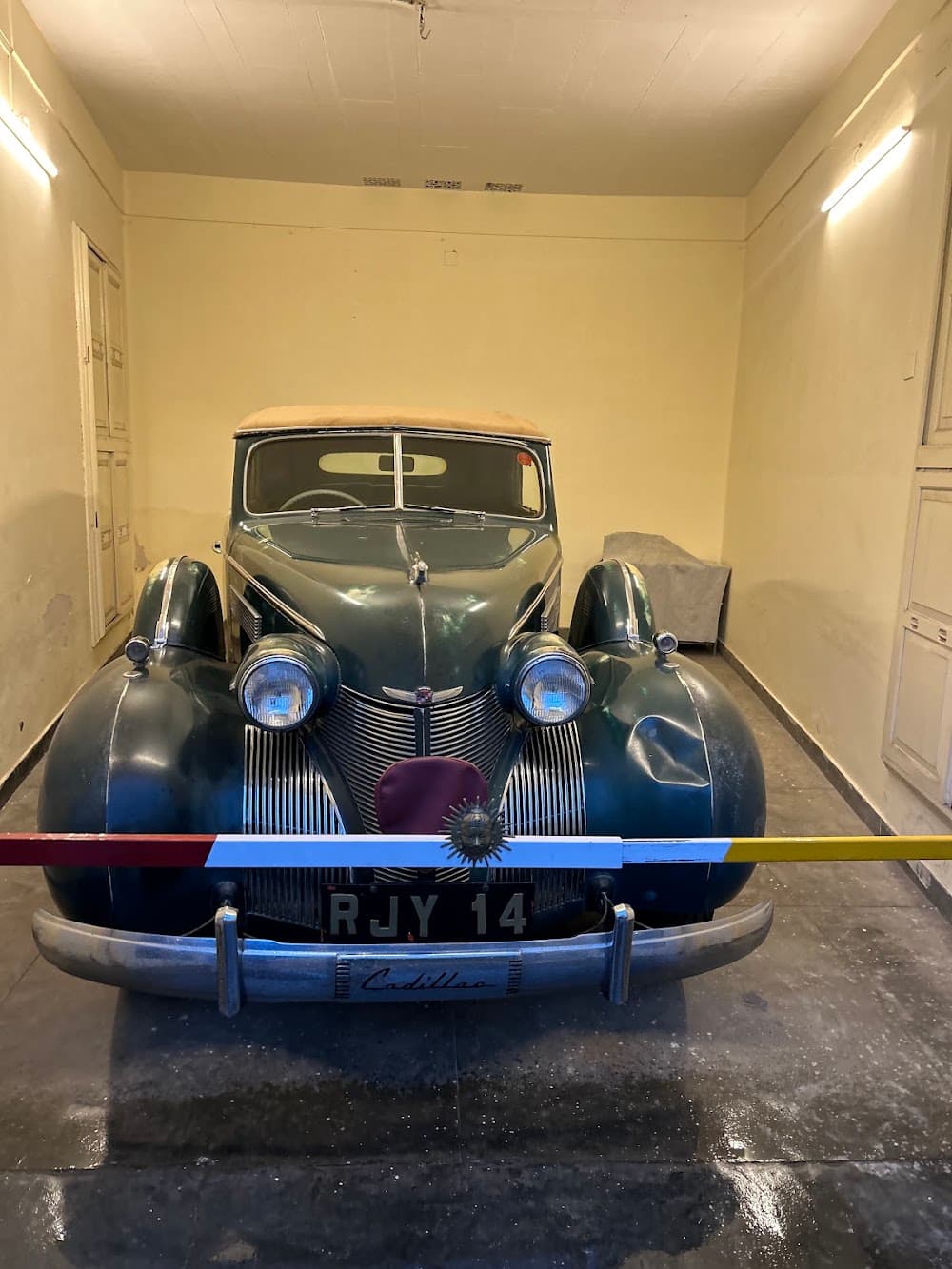 Vintage and Classic Car Collection