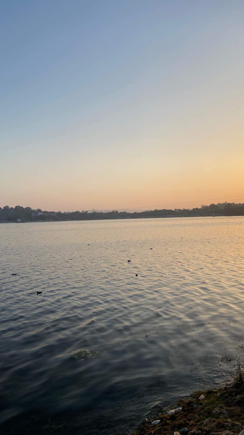 📷 Rushil Arora