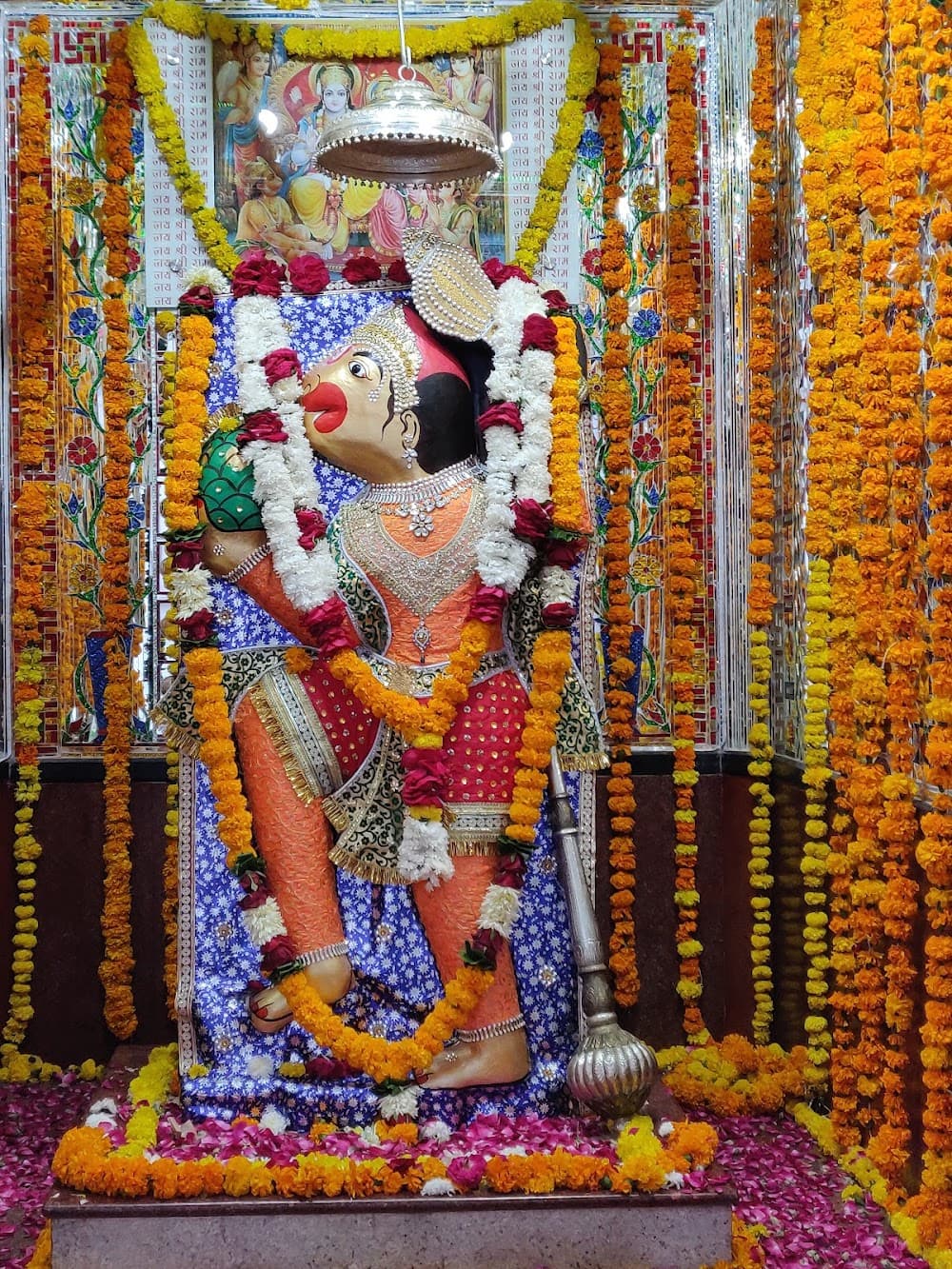 📷 Harihar Pandey