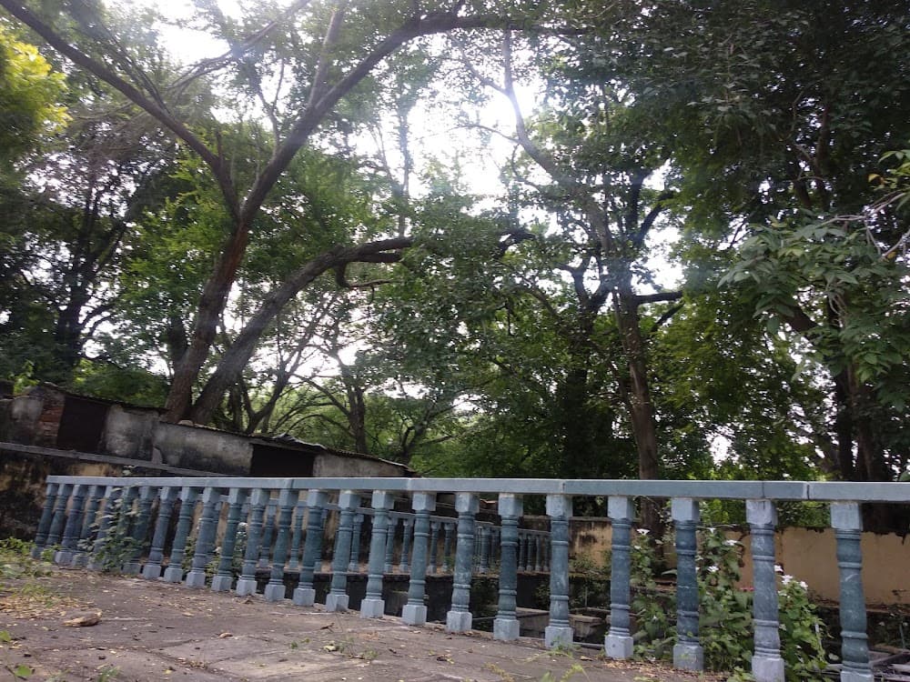 📷 Kaushik Prajapati