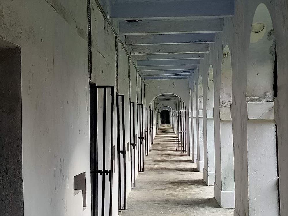 📷 Ashish Kumar Tiwari