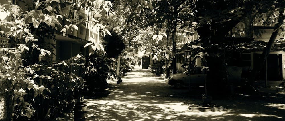 📷 Sri Aurobindo Handmade Paper