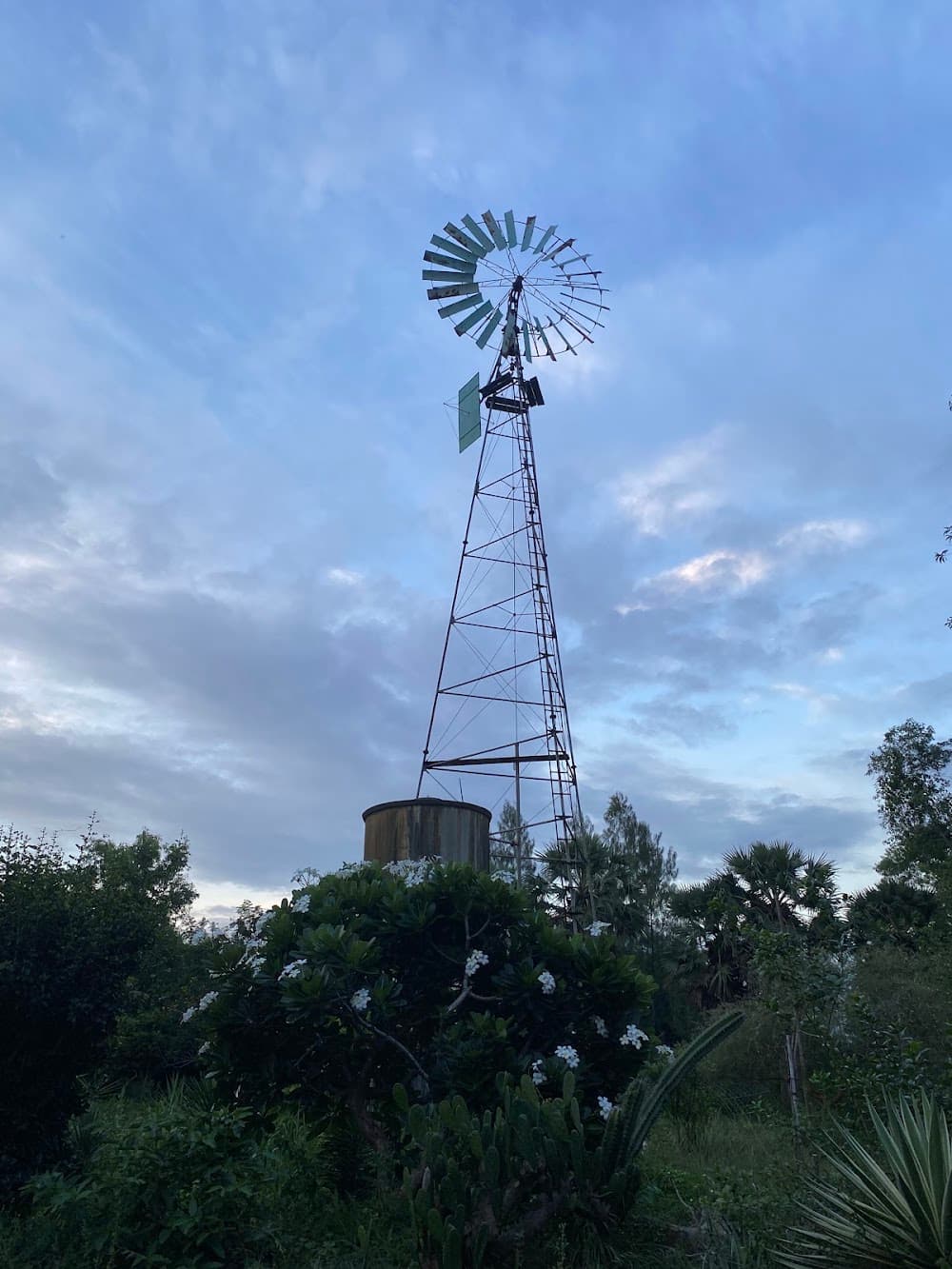Auroville Botanical Gardens