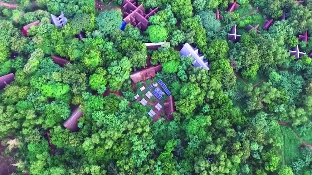 📷 Sadhana Forest