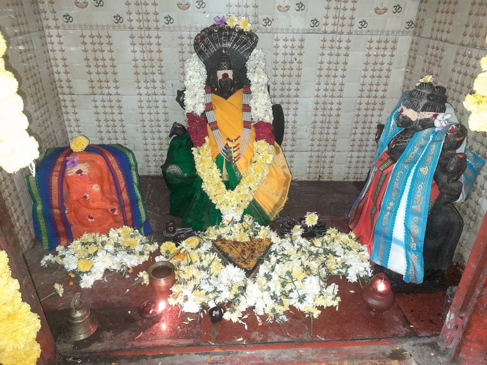 📷 Gopi Govardhan