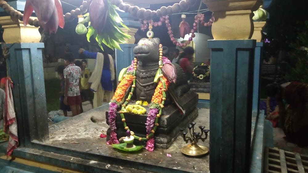 📷 Dharani Rajavel