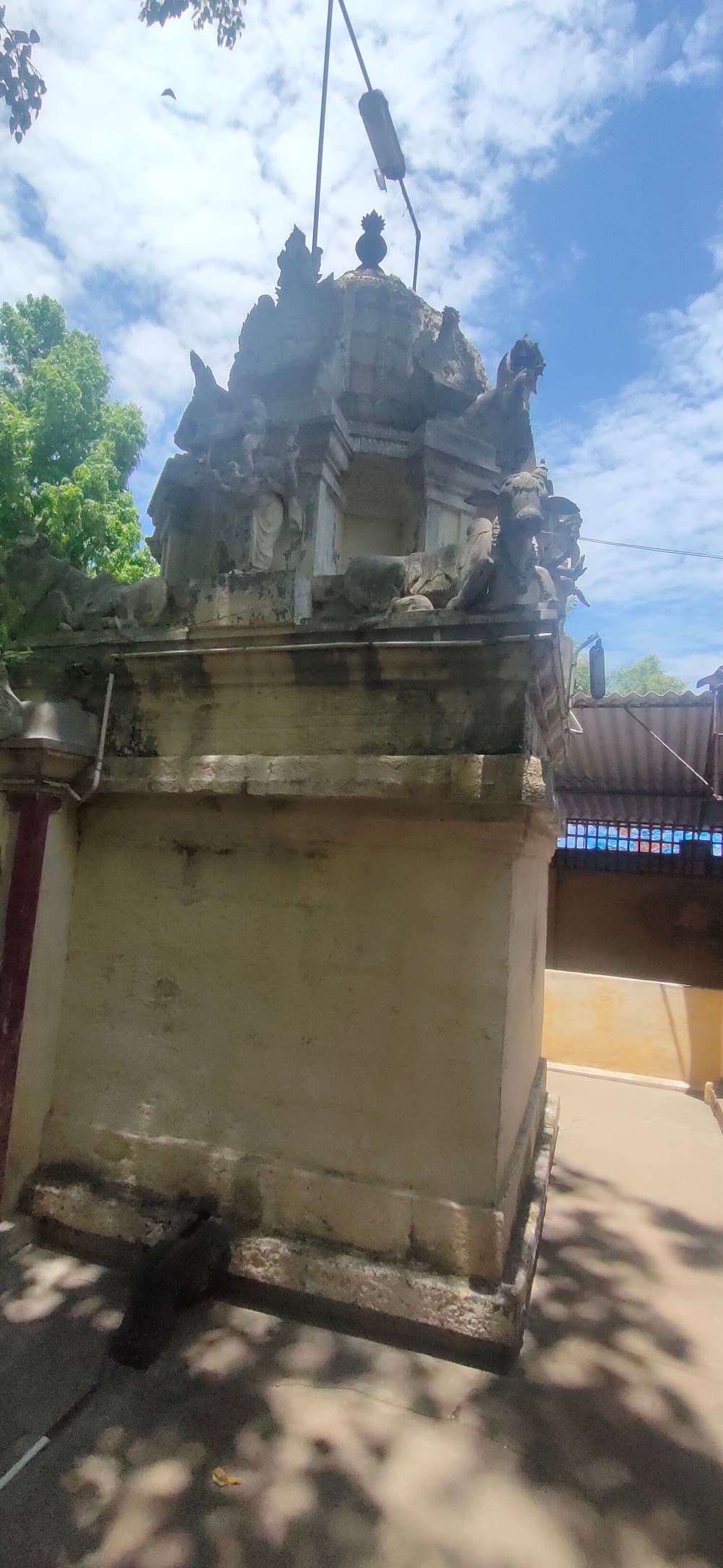 📷 Elumalai Babu