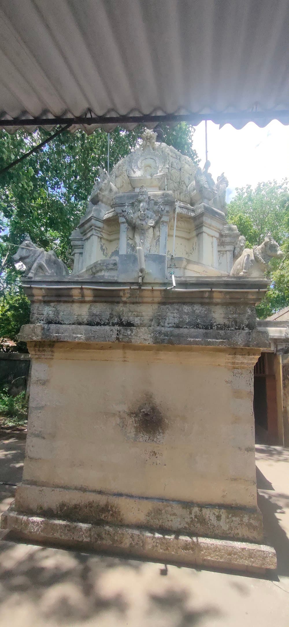 📷 Elumalai Babu