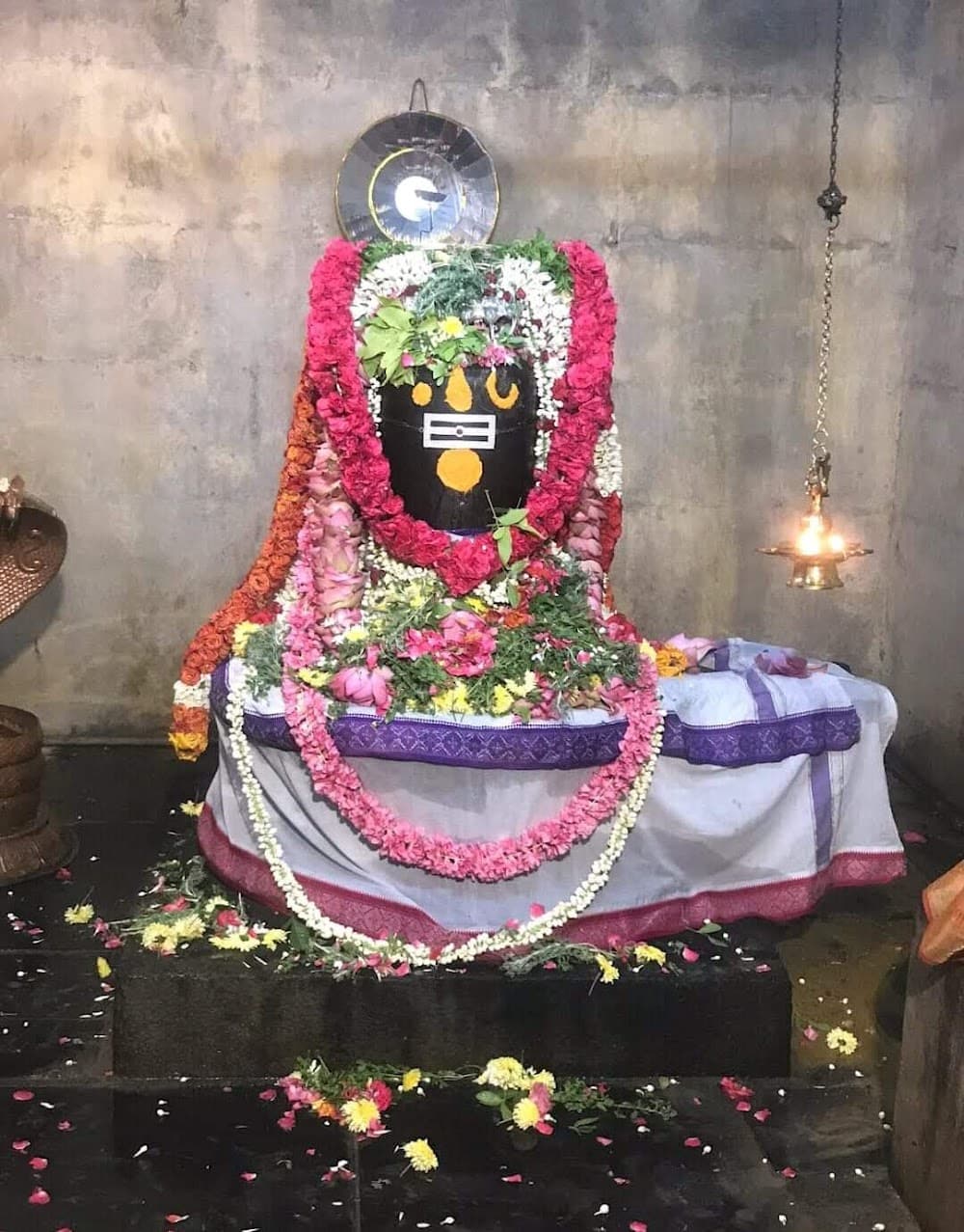 📷 Mukund Kanabargi