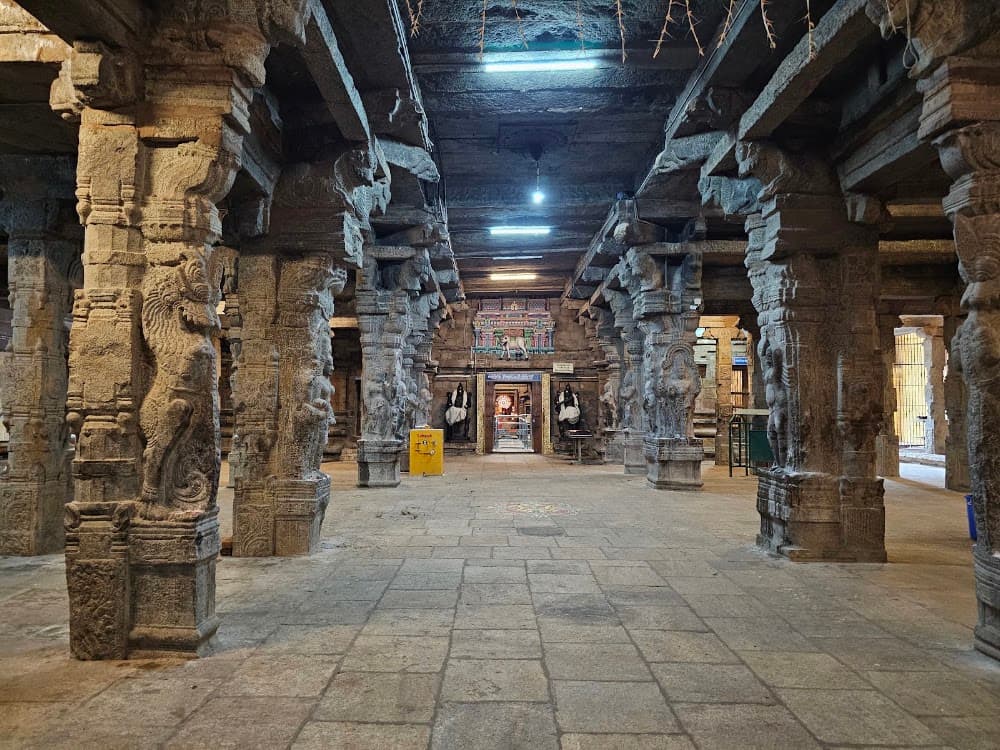 📷 Venkatraman Sivakumar