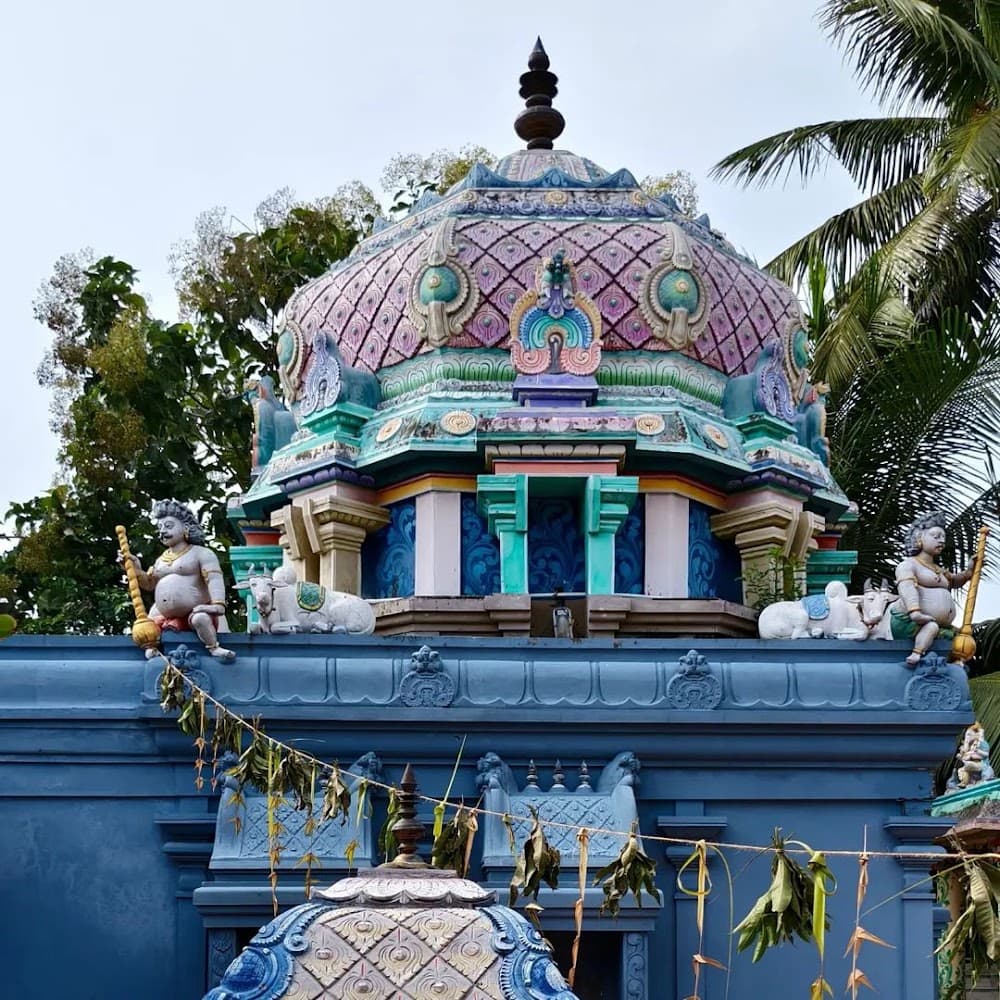 📷 Vijayarajan Mariappan