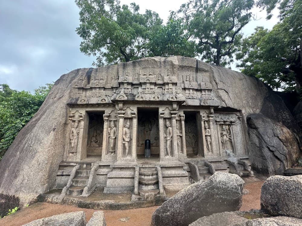 📷 Dr. Manjesh S