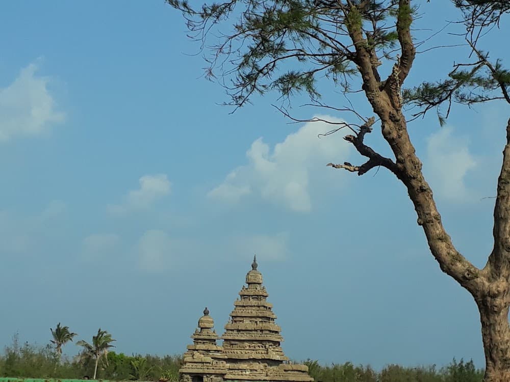 📷 kasiraman rajasekharan