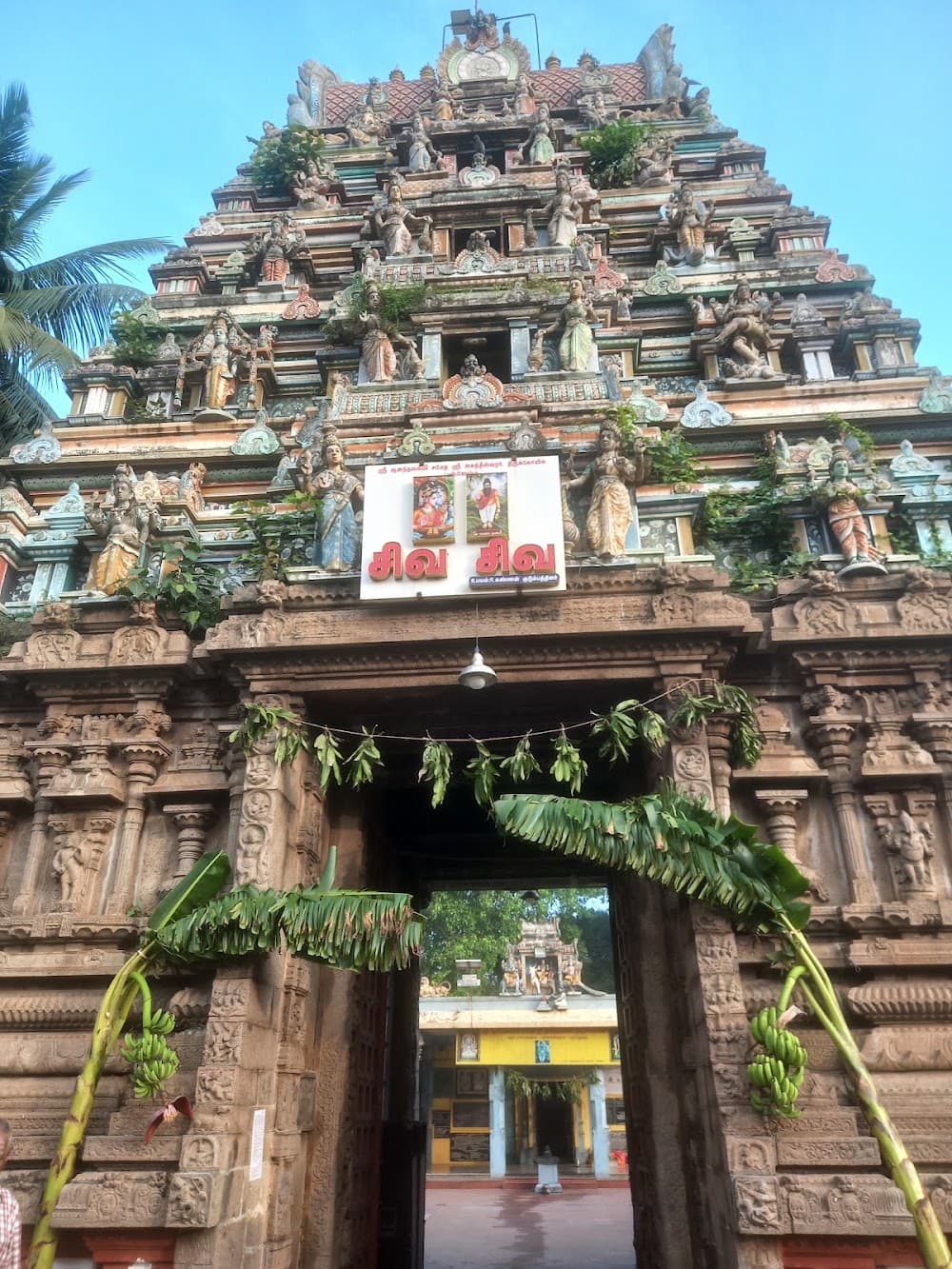 📷 V Lakshmana Gowda