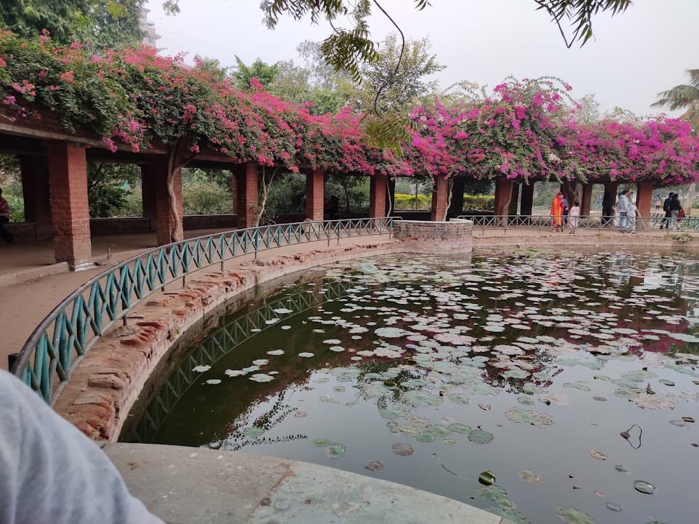 📷 RAJESH YADAV