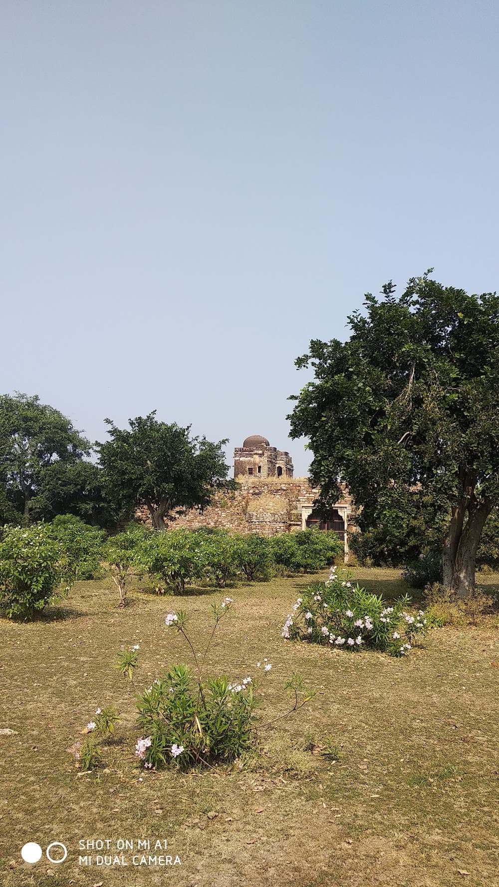 📷 Dharam raj Jat
