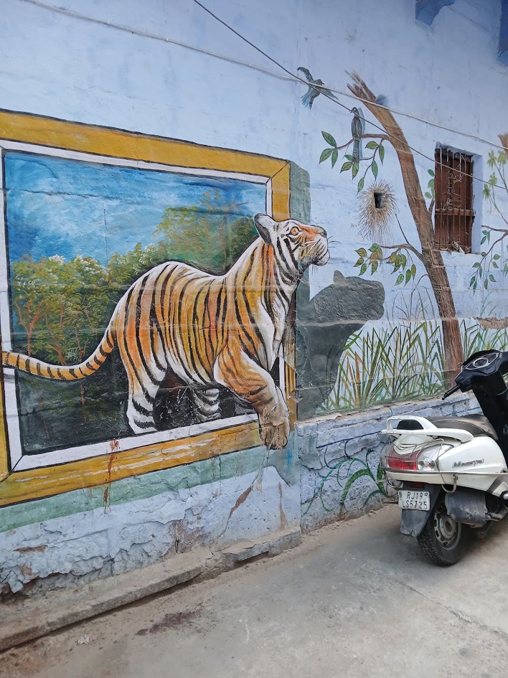 📷 Mohanmurali Jakka