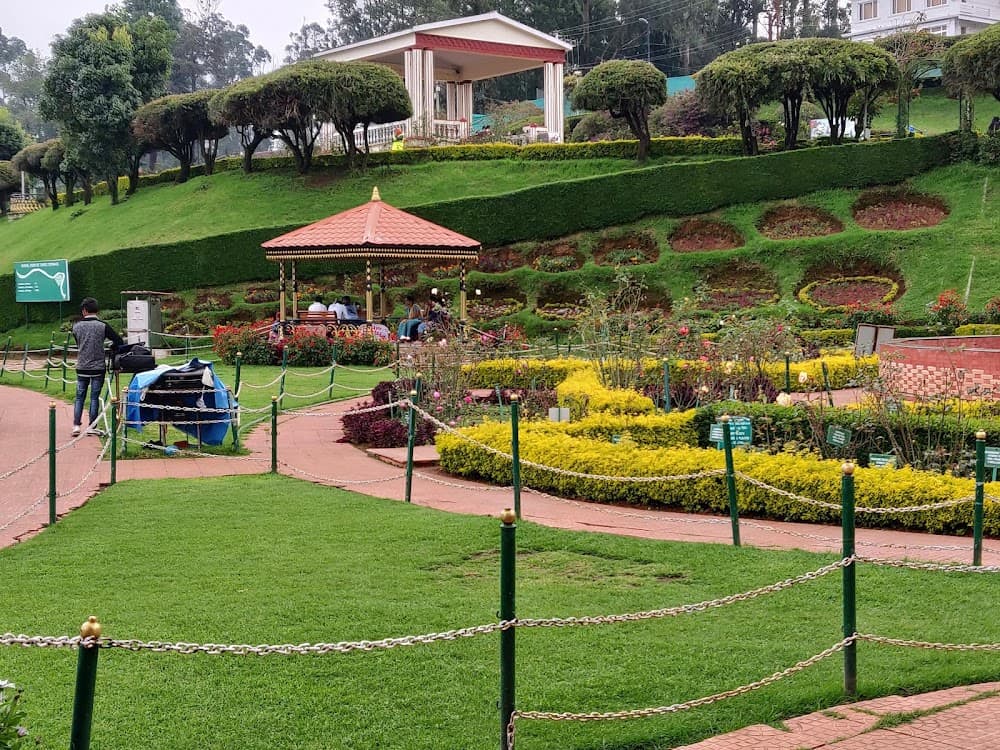 Rose Garden