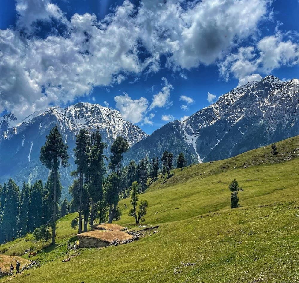 📷 Emraan Suzan