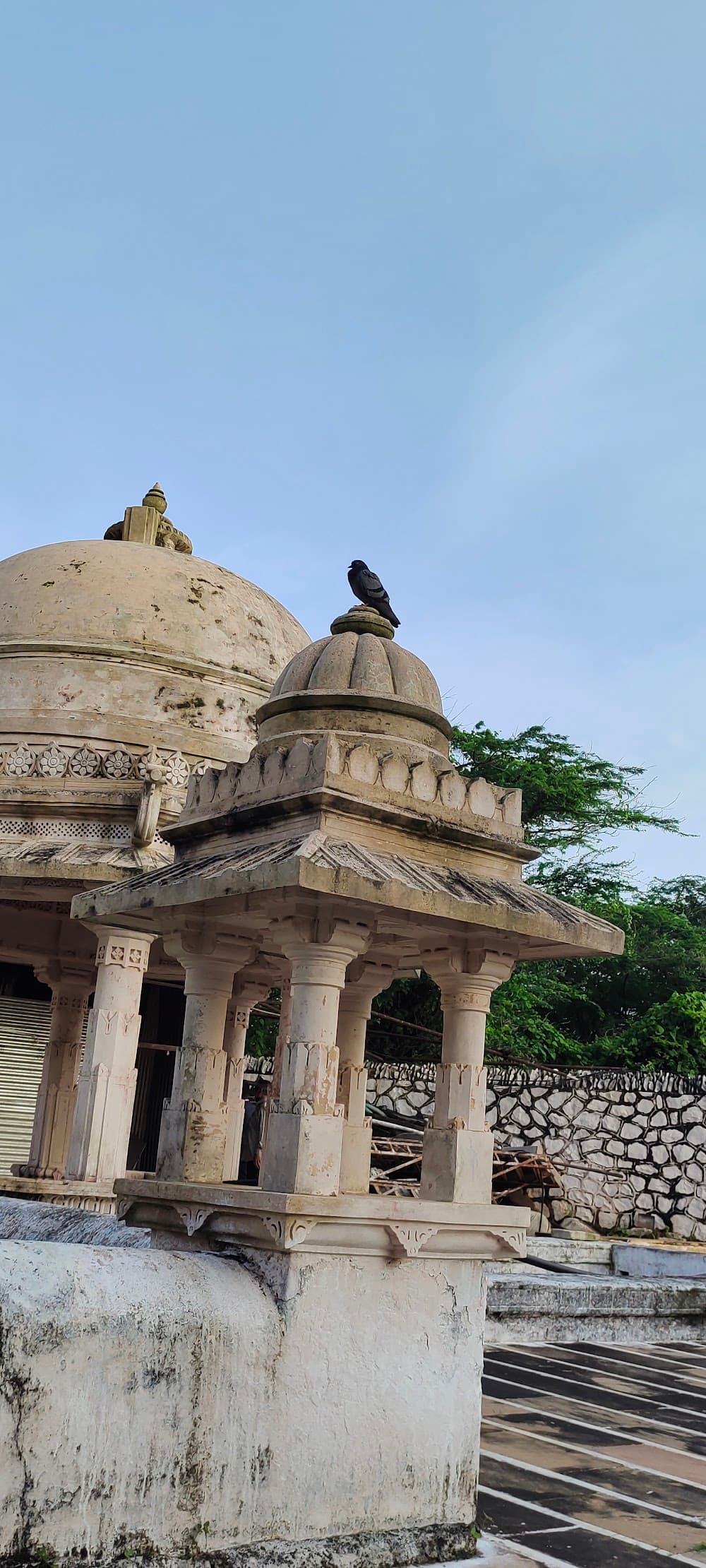 Bharat Chakravarti Pagla