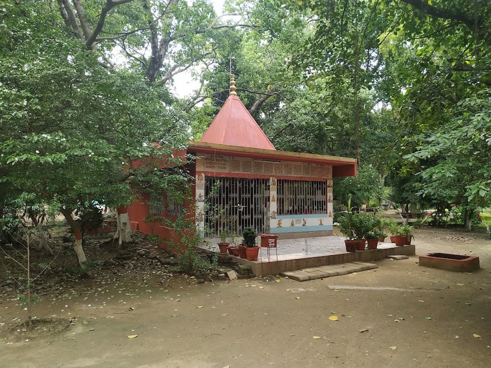 📷 Biswajyoti Mukherjee