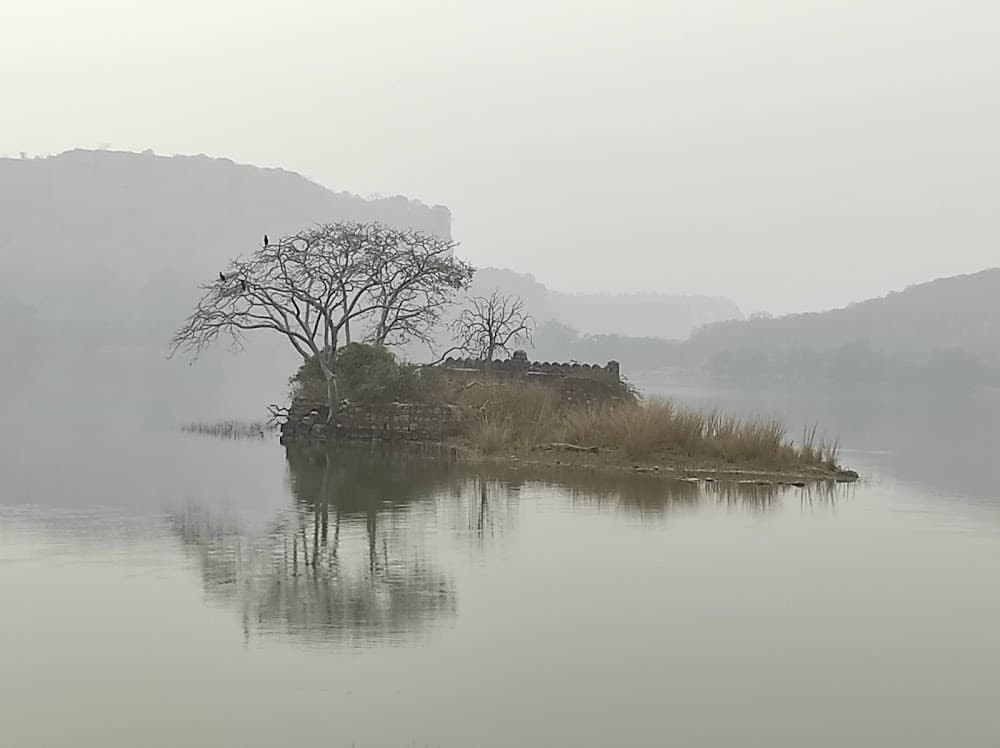 PADMA TALAO