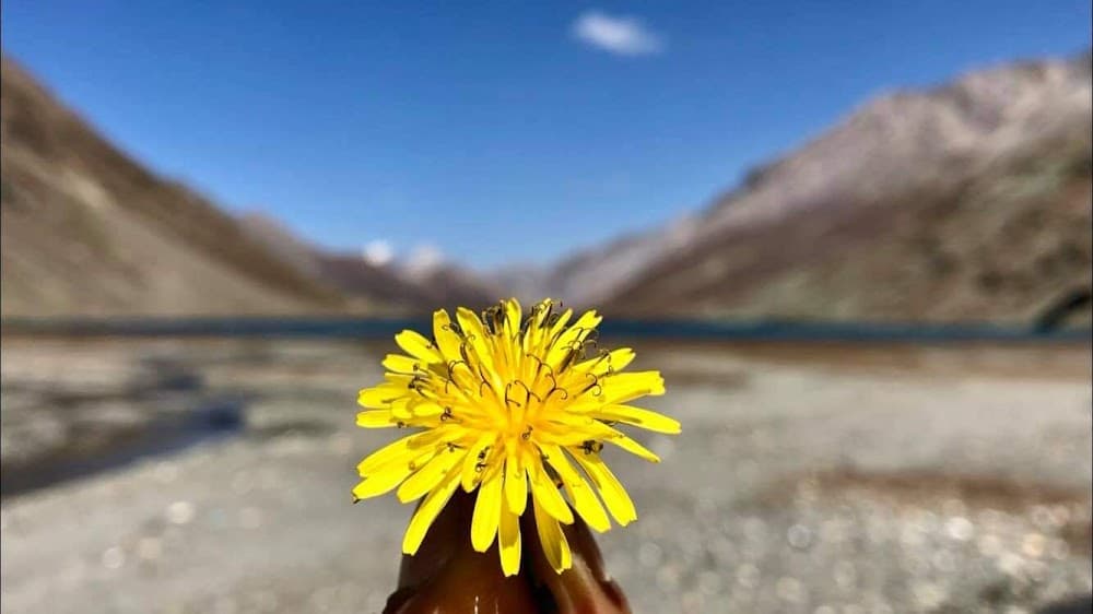 📷 Salil Baliyan