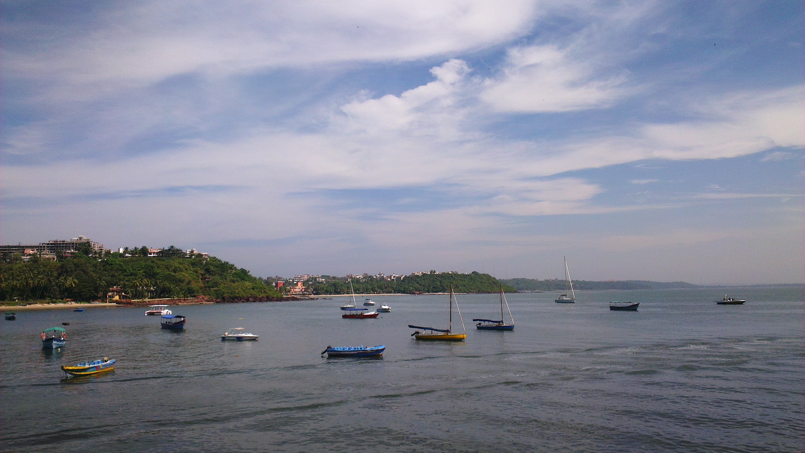 Dona paula