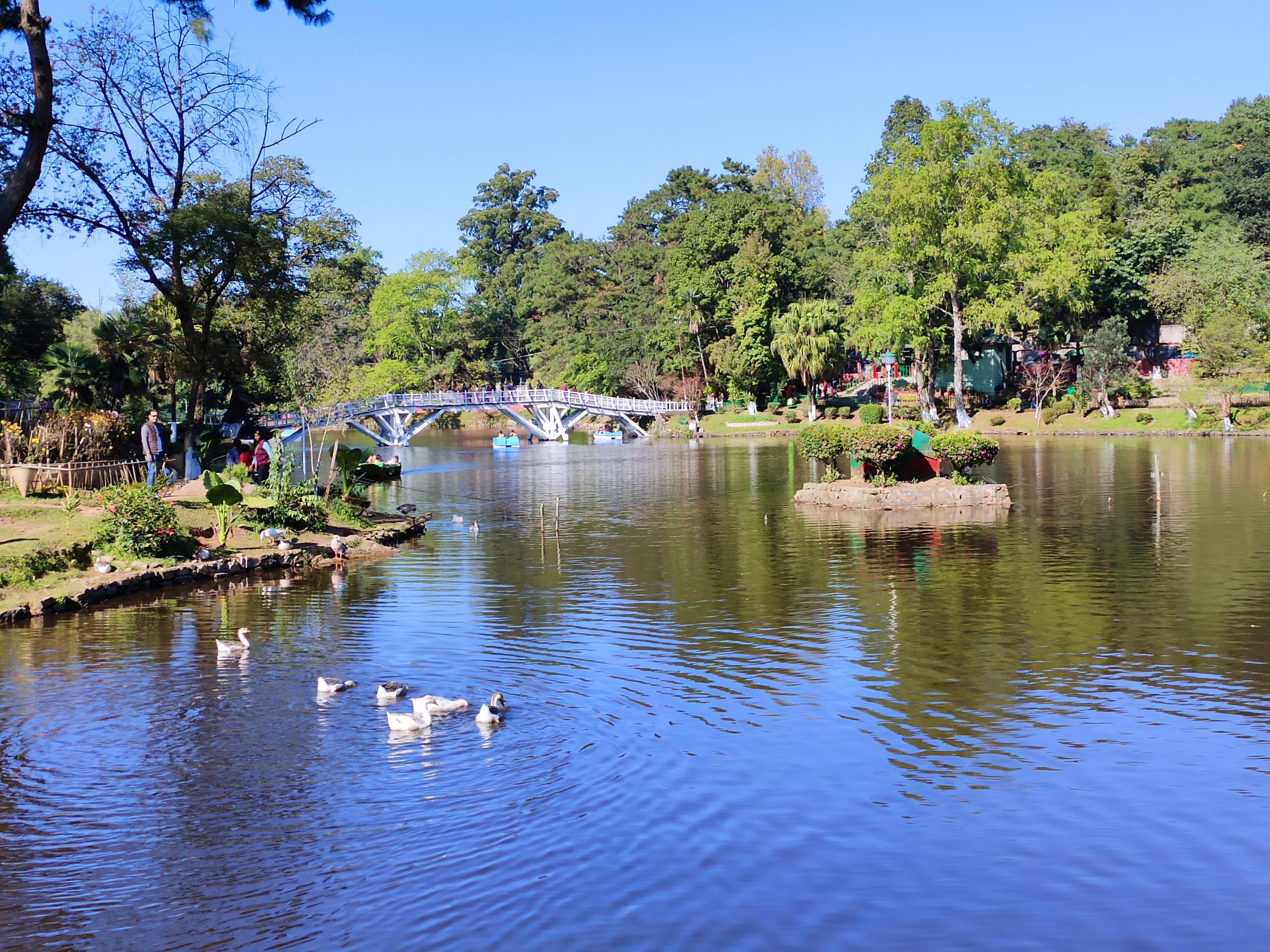 Wards Lake