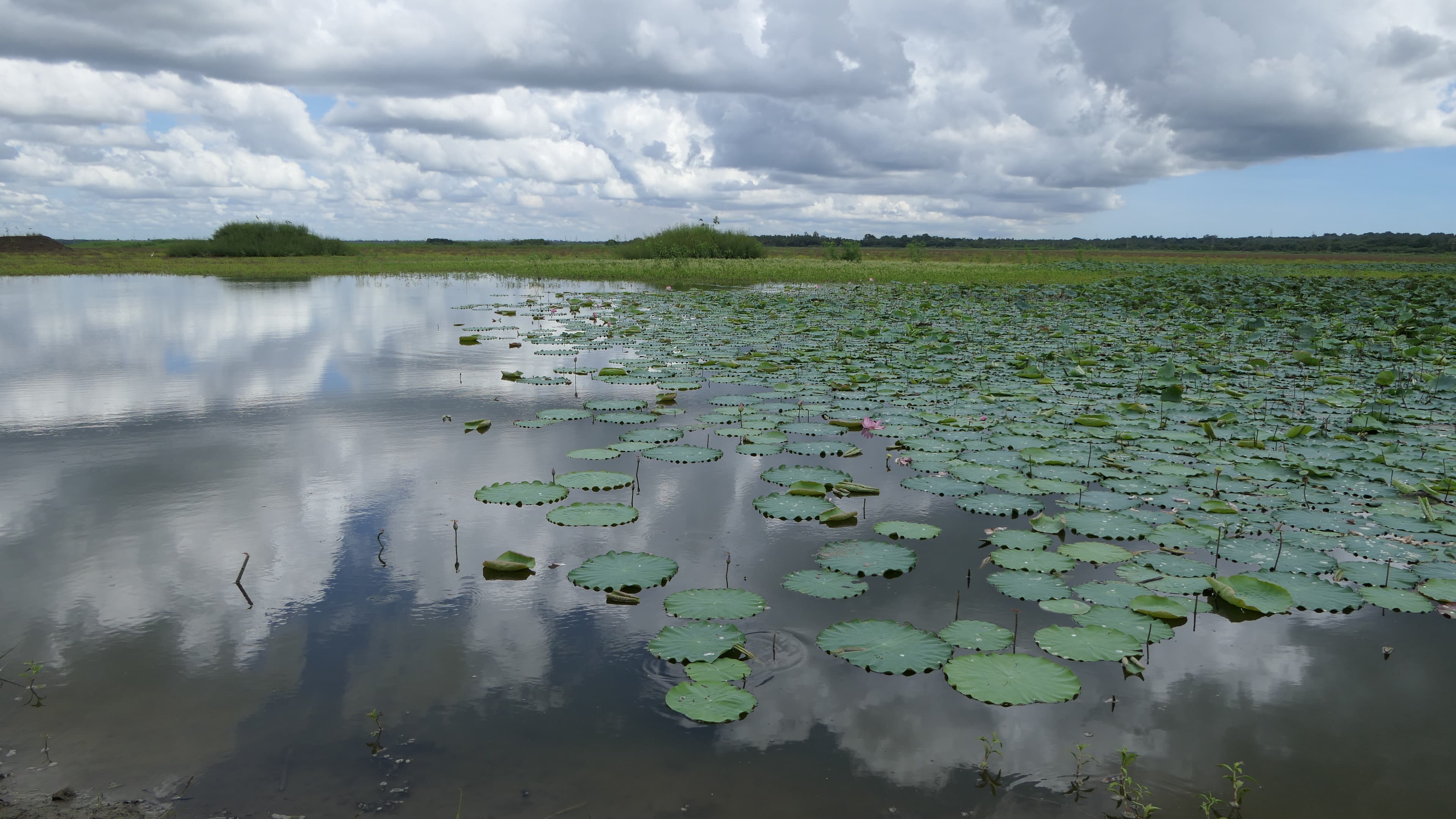 Usteri Lake