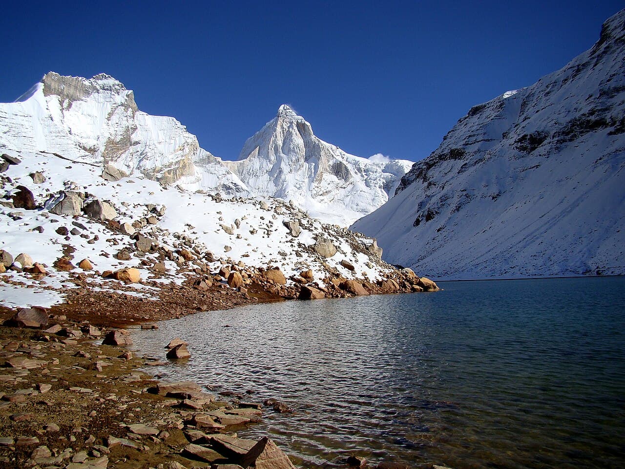 Bhrigupanth