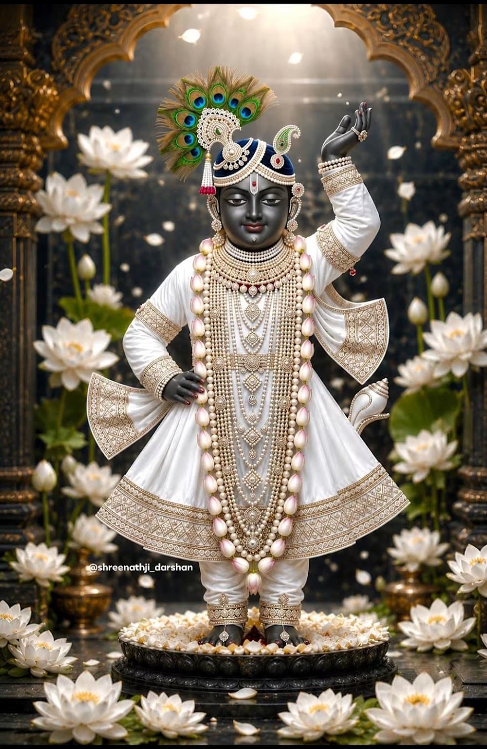 📷 allam srinivasarao