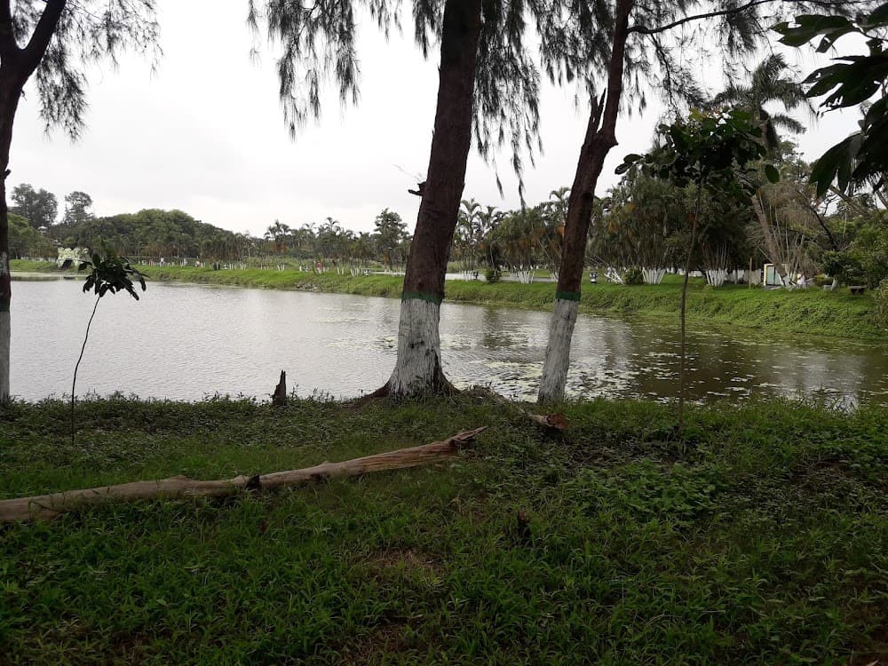 Central Park Lake