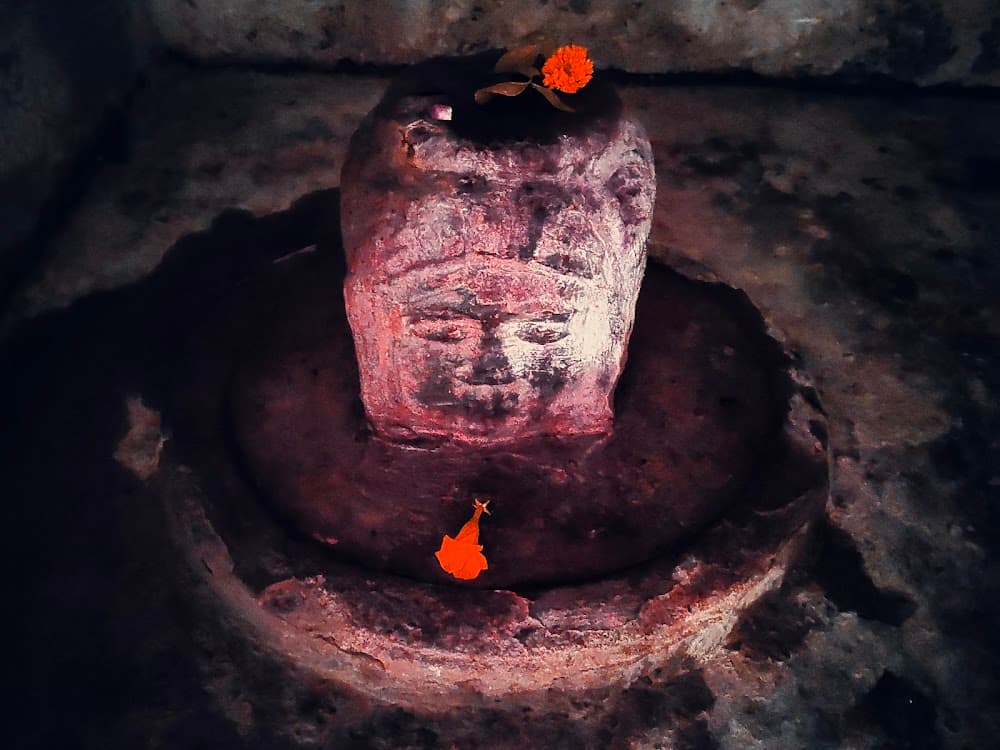 📷 Rajvirsinh Gohil