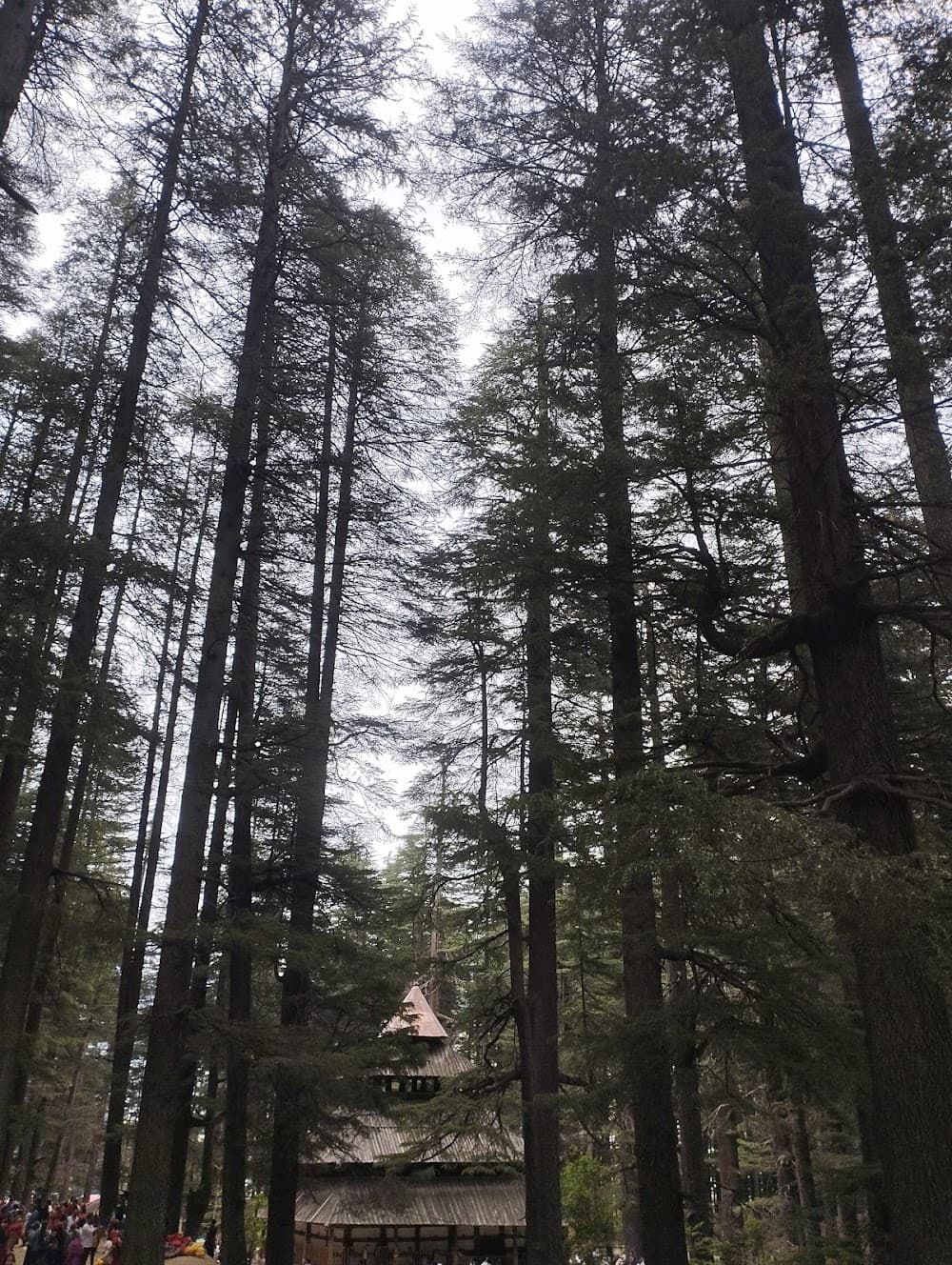 📷 Ankit Thakur