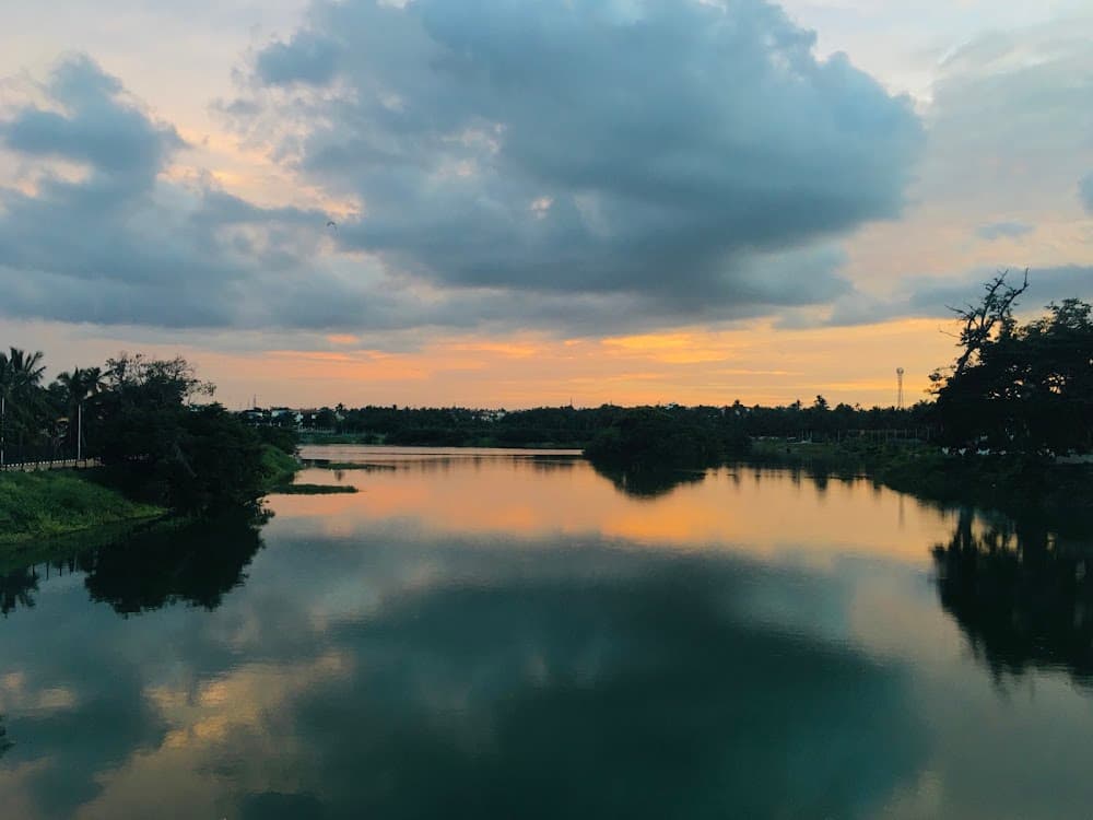 📷 Priya Adiga