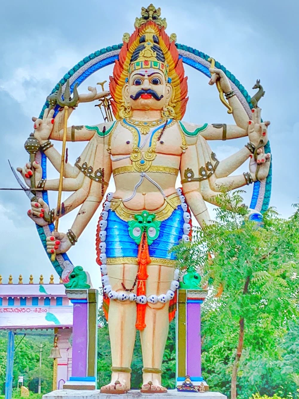 📷 Y Srinivasa Rao