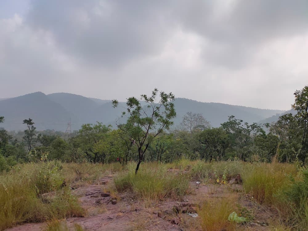 📷 Saraswathi Puthra Sudhakar