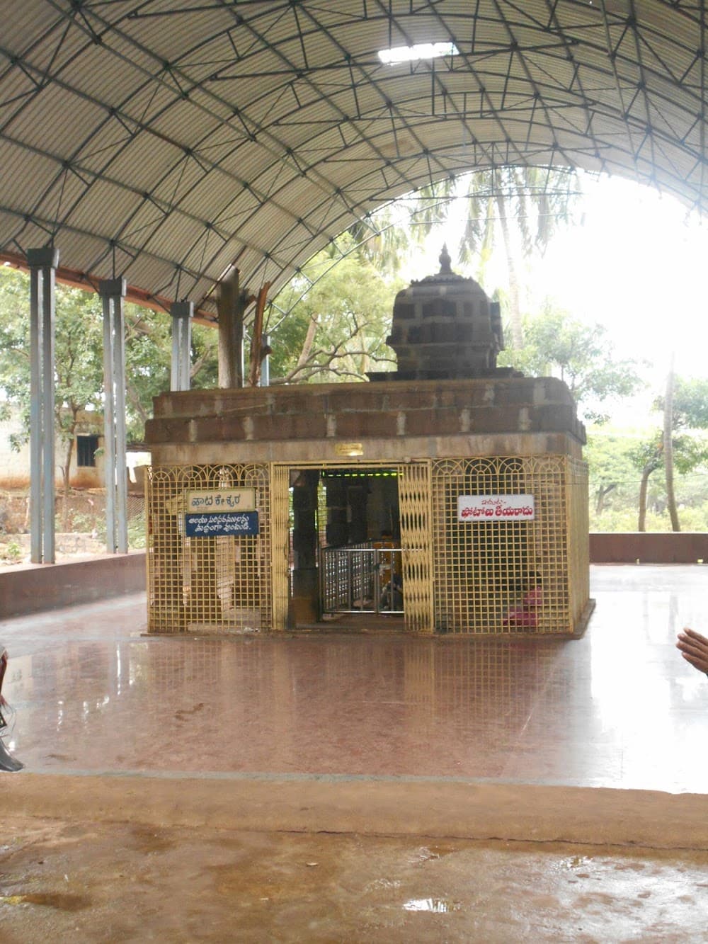 📷 Tilak Kolluru